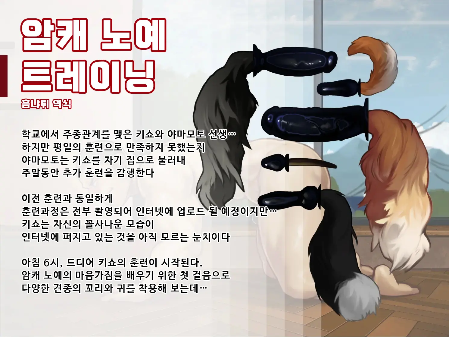 Dog Slave'S Intermediate Training